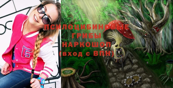 спиды Тихвин
