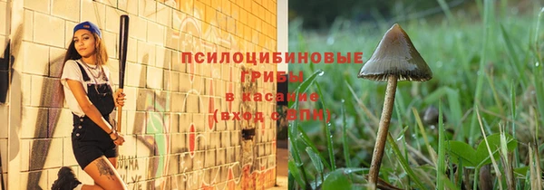 спиды Тихвин