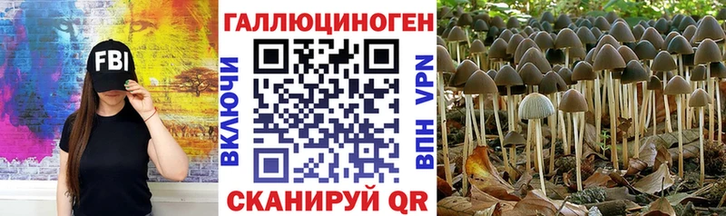 Псилоцибиновые грибы прущие грибы  Купить  Семёнов 
